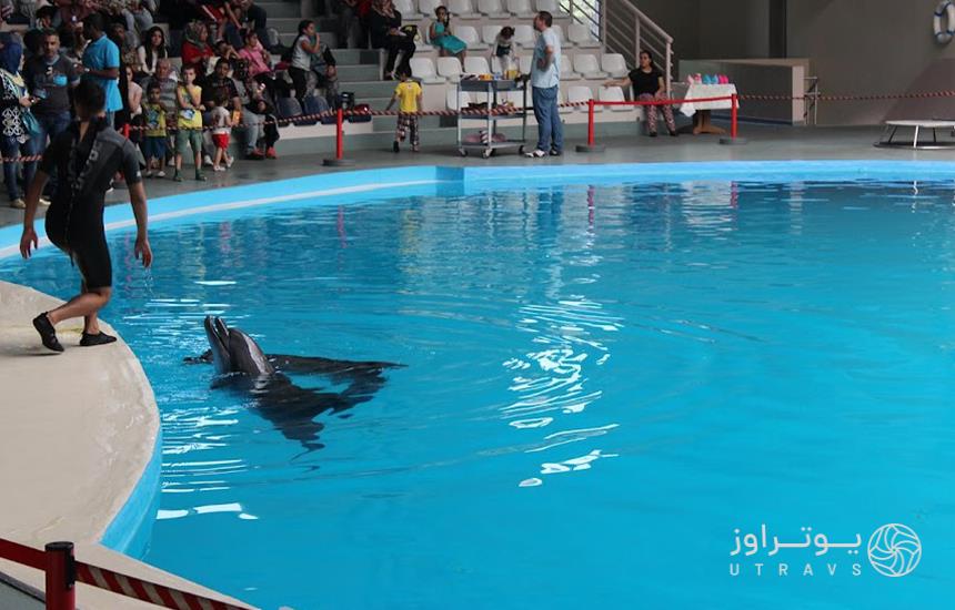  Information about Istanbul Dolphinarium 